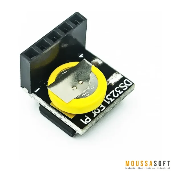 DS3231 Module RTC horloge en temps réel 3.3 V/5 V pour Raspberry Pi Arduino